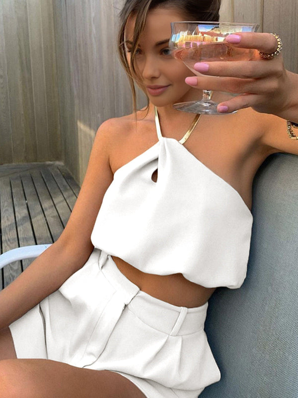 Semi-Sheer Halter Crop Sleeveless Top