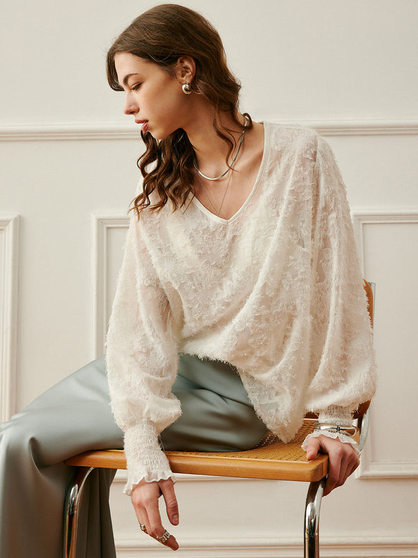 Semi-Sheer V-Neck Lantern Sleeve Embroidered Top